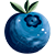 Bleuet Sauvage