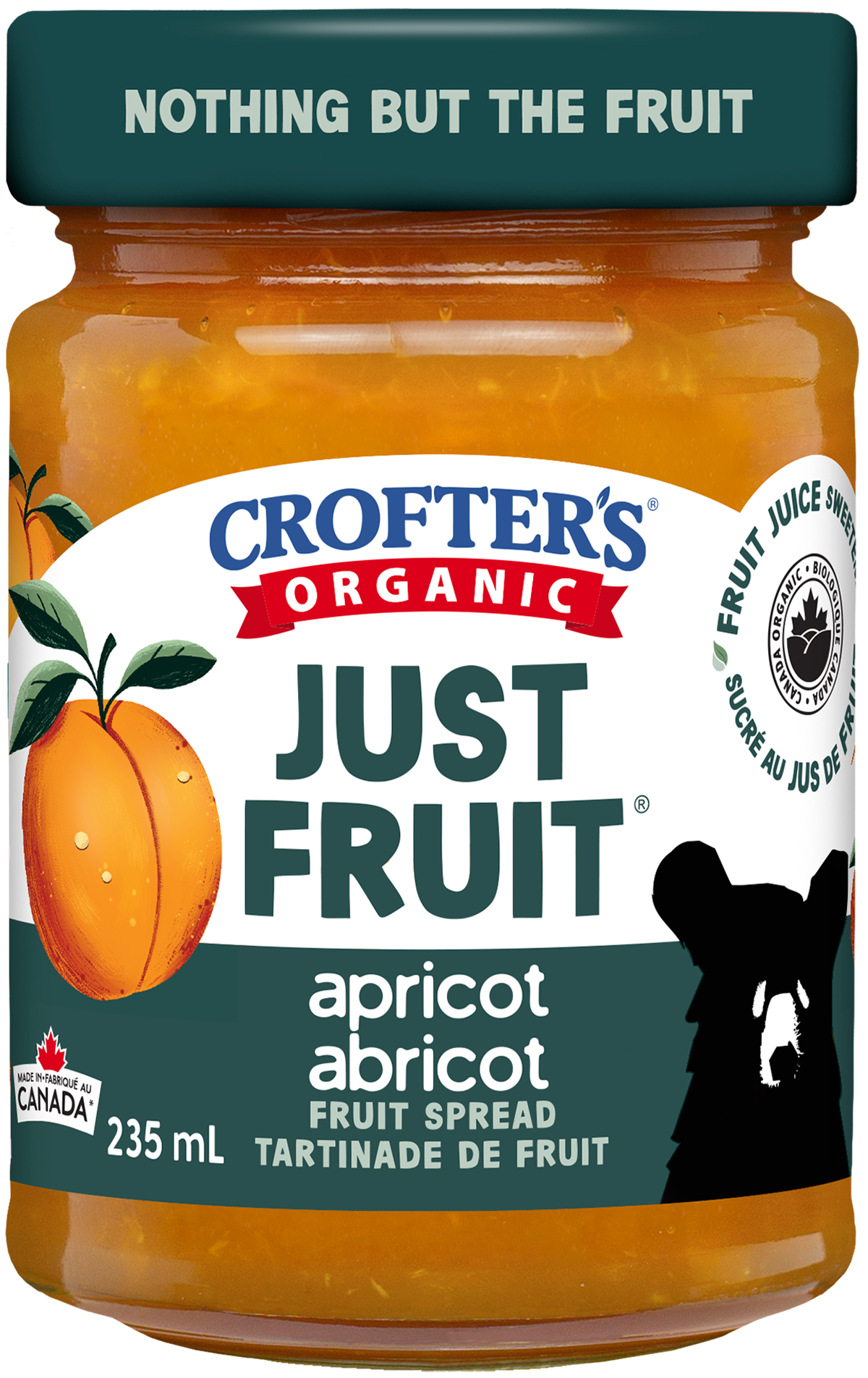 Apricot