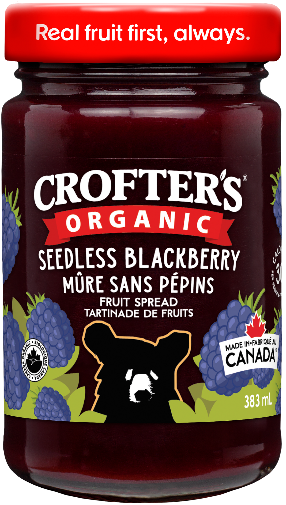 Seedless Blackberry