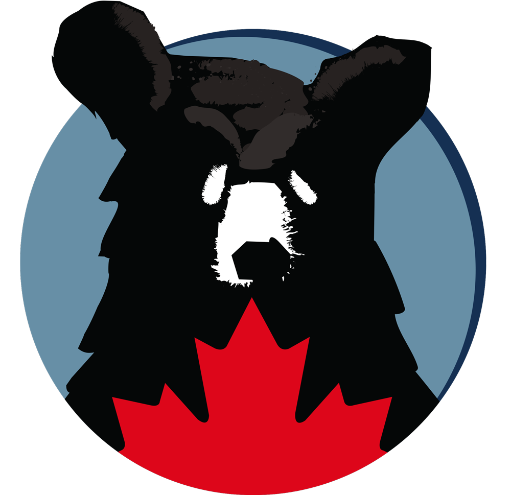 A stylized black bear head logo with a white snout and ears, set against a light blue circle with a red maple leaf at the bottom, on a black background.