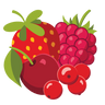Quatre Fruits