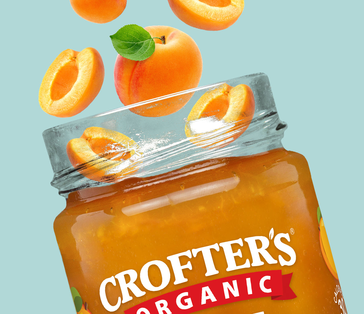 The Fruit in Your Jar