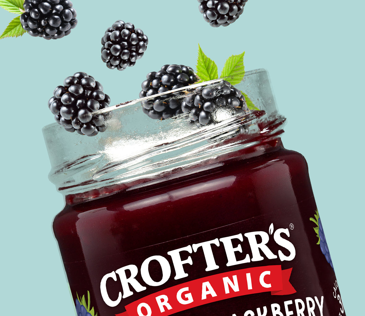 The Fruit in Your Jar