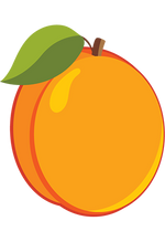 organic apricots