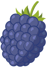 organic seedless blackberry puree