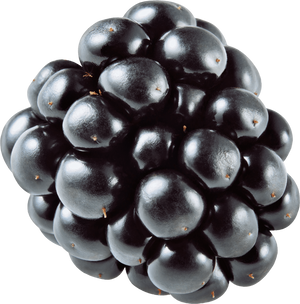 Blackberry