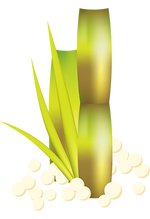 Organic cane sugar