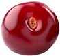 Morello Cherry