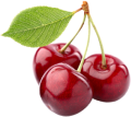 Morello Cherry