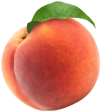 Peach