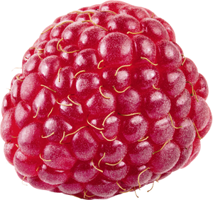 Raspberry