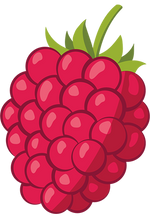 organic seedless raspberry puree