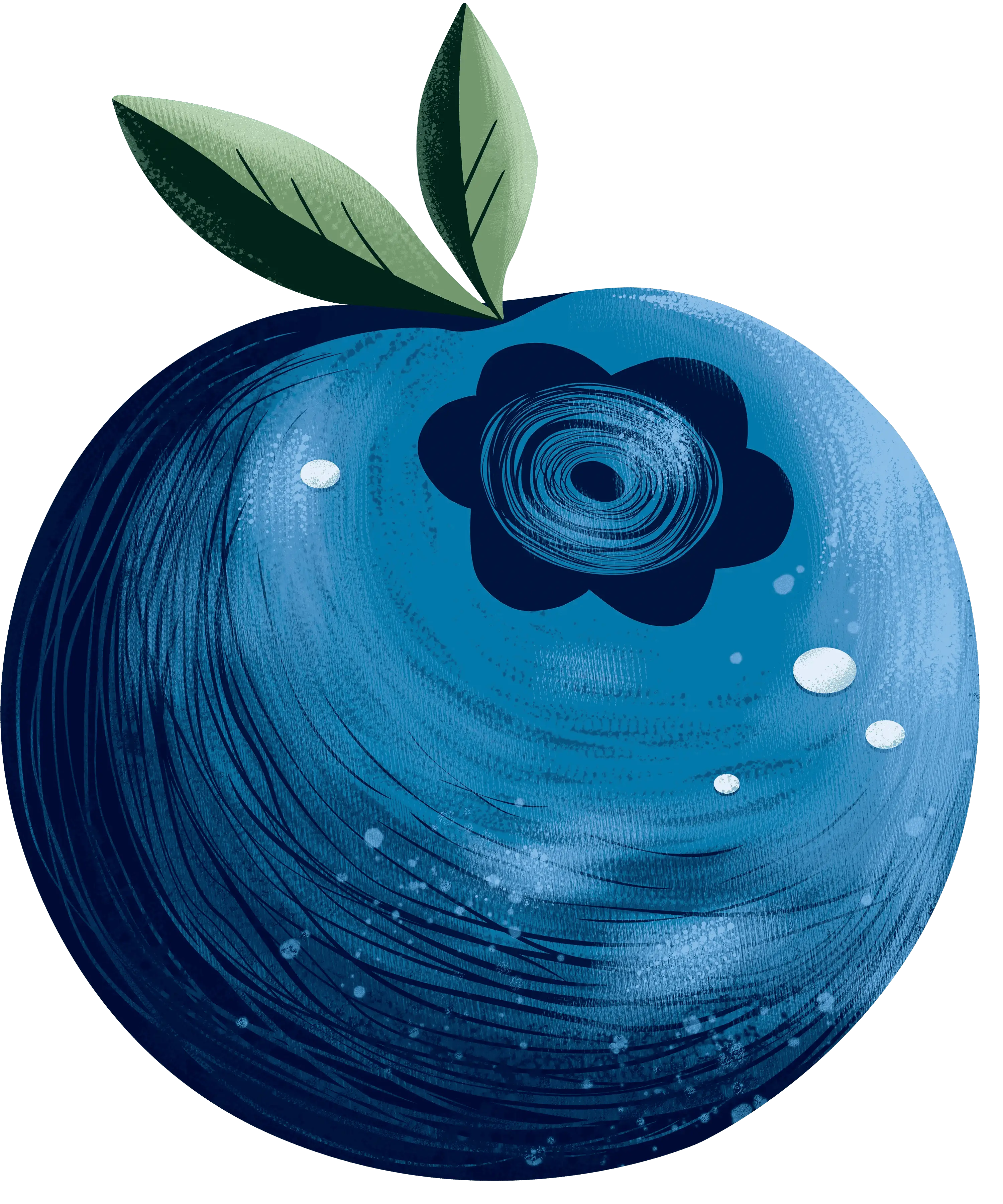 blueberry-flat-leaves