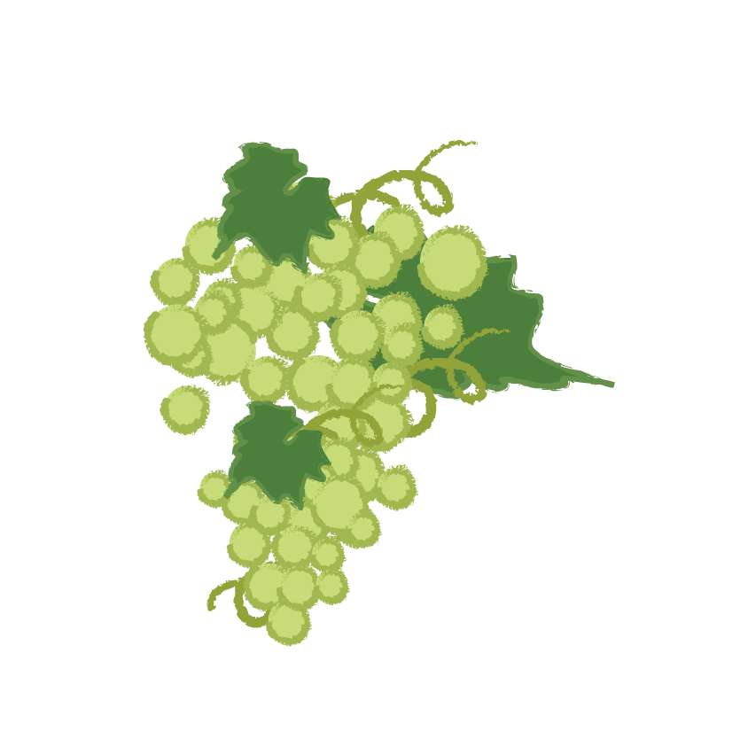 organic white grape juice concentrate